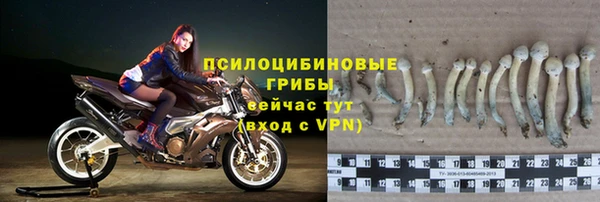 apvp Иннополис
