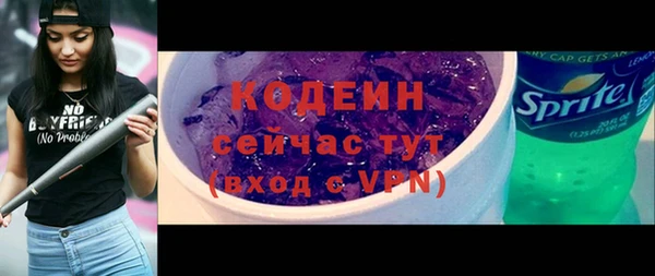 apvp Иннополис