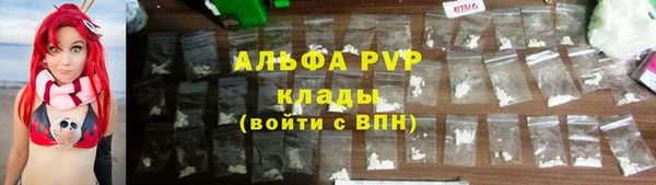 apvp Иннополис