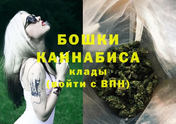 apvp Иннополис