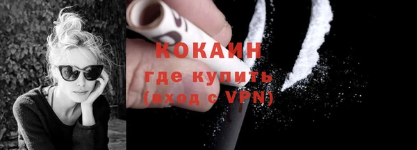 apvp Иннополис