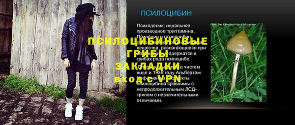 apvp Иннополис
