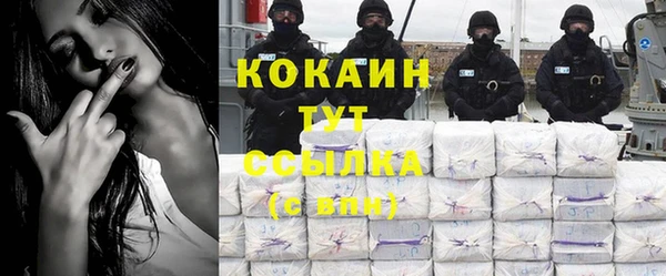 apvp Иннополис
