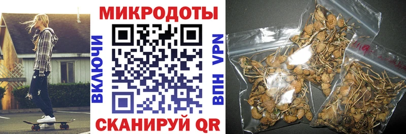 Купить закладки  Волхов  Псилоцибиновые грибы ЛСД 