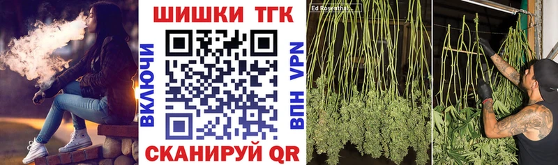 Купить где Волхов Шишки марихуана Ganja